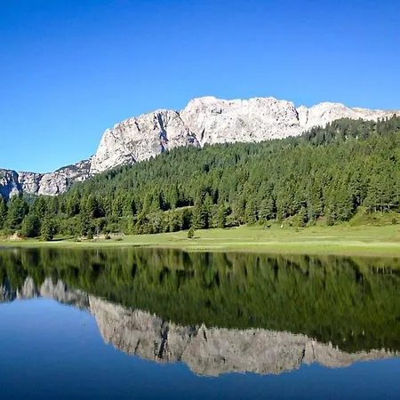 Biker Al Gallo Forcello