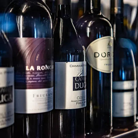 Biker Al Gallo Forcello Passo Pramollo