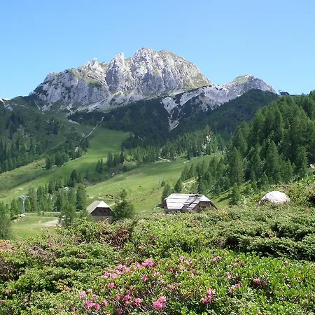 Biker Al Gallo Forcello 3* Passo Pramollo