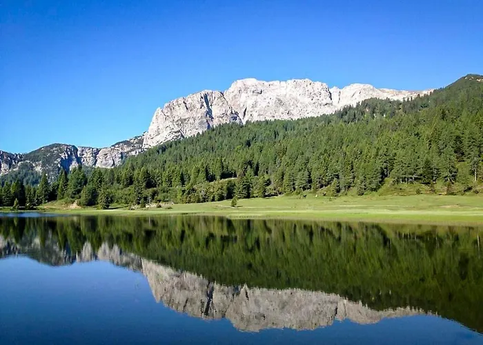 Biker Al Gallo Forcello