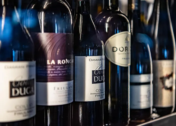 Biker Al Gallo Forcello Passo Pramollo