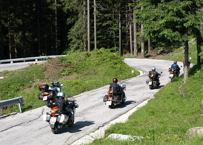 Biker Al Gallo Forcello
