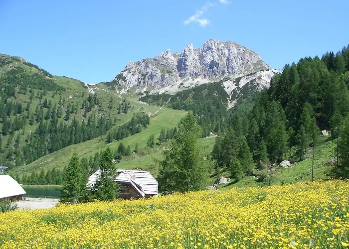 Biker Al Gallo Forcello Passo Pramollo