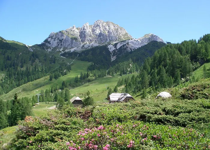 Biker Al Gallo Forcello 3* Passo Pramollo