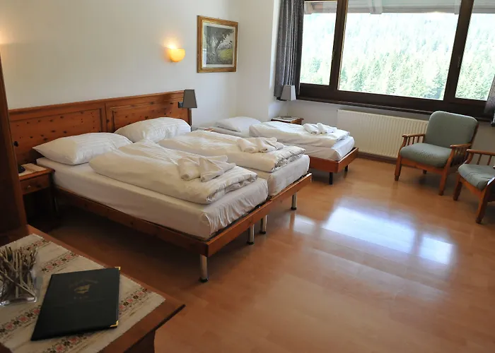 Biker Al Gallo Forcello 3* Passo Pramollo