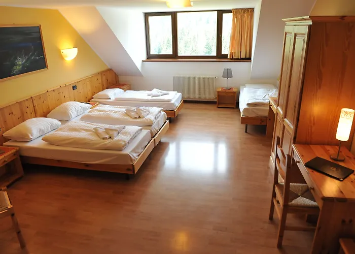 Biker Al Gallo Forcello