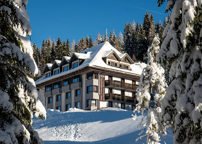 Biker Al Gallo Forcello Hotel Passo Pramollo