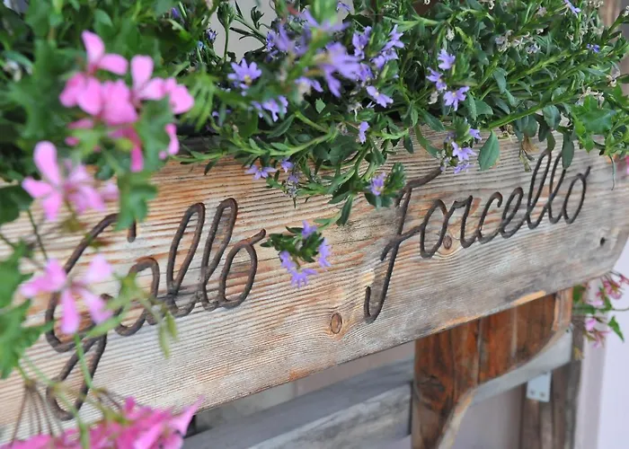 Szálloda Biker Al Gallo Forcello 3*